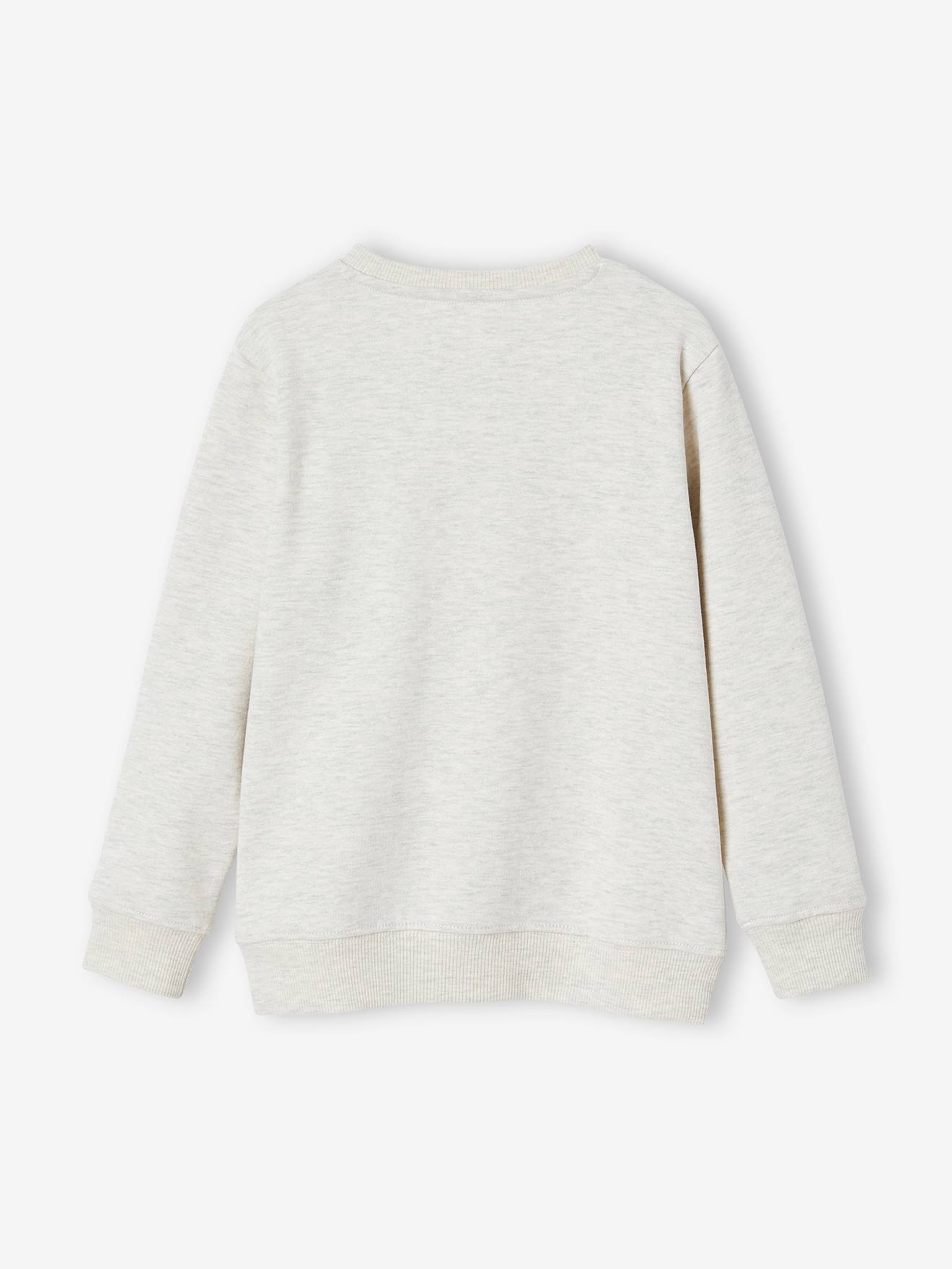 https://kids-avenue.com.ua/pages/gallery/6524/sweat-basics-motifs-graphiques-garcon (5).jpg